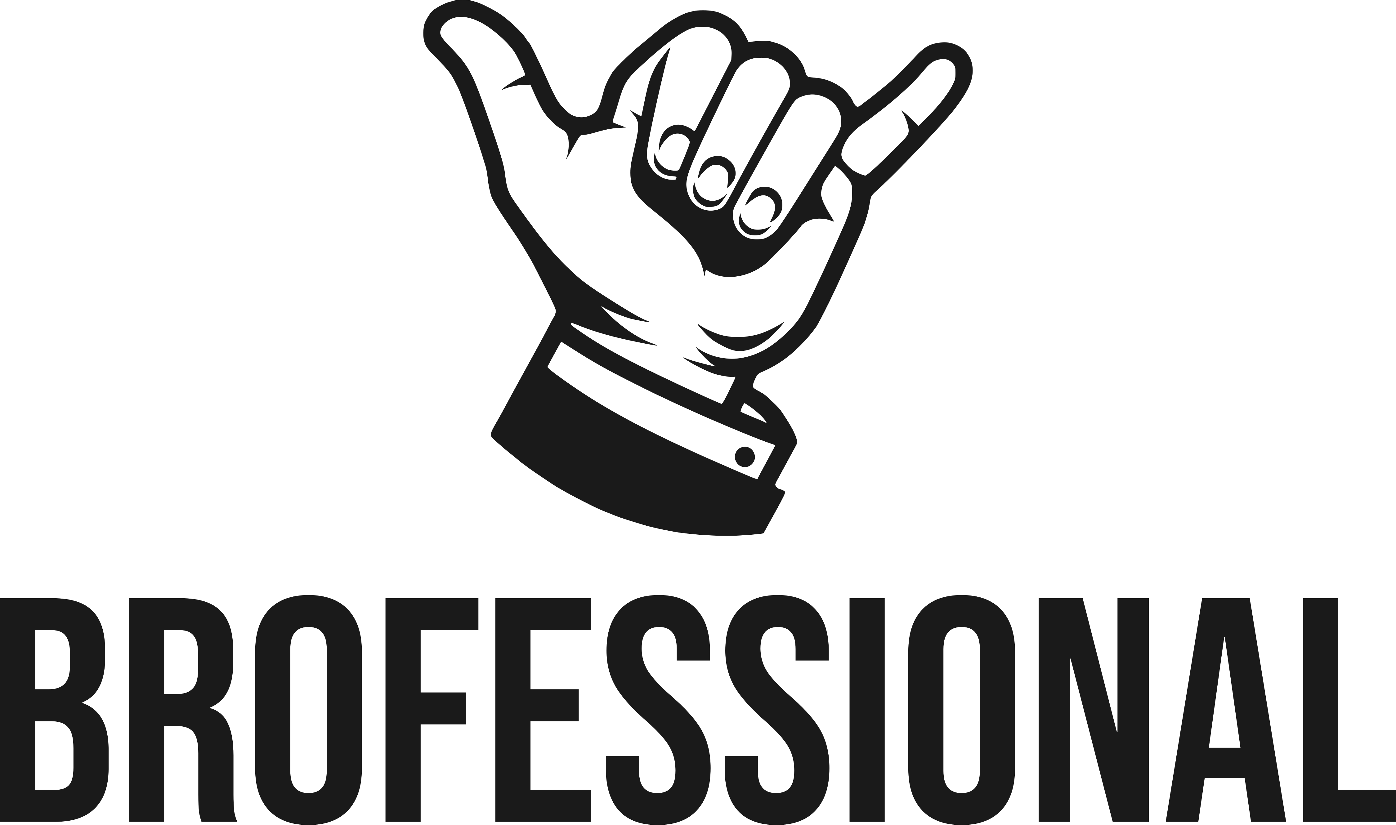 Brofessional Logo